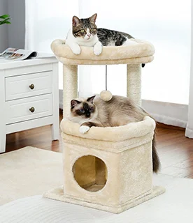 Welcome to the Comfy Life!s