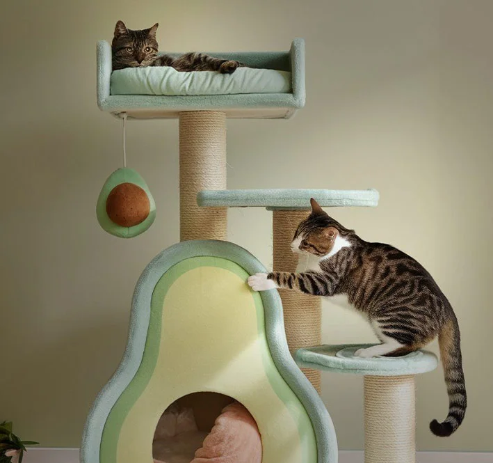 Stylish Choices, Premium Care