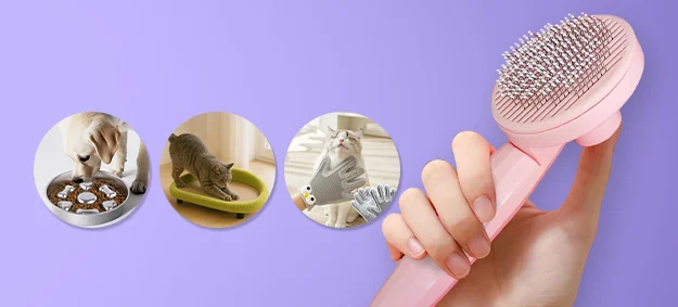 Trendy Styles Meet Lasting Comfort & Quality